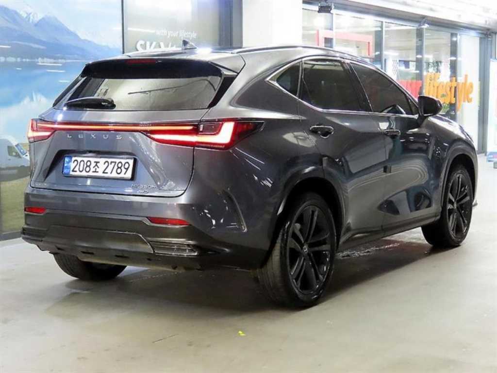 Lexus NX - Vista 4