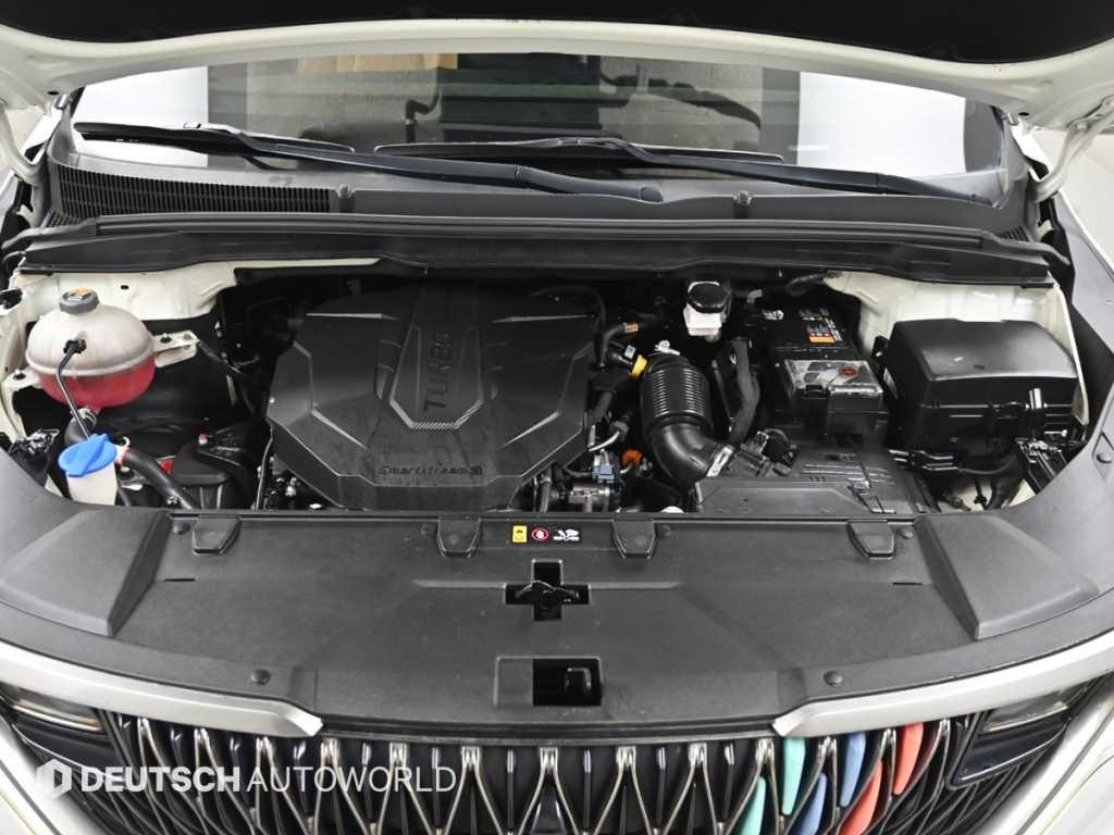 KIA Carnival - Vista 6