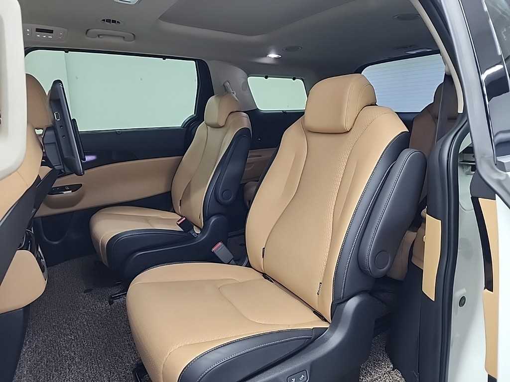 KIA Carnival - Vista 12