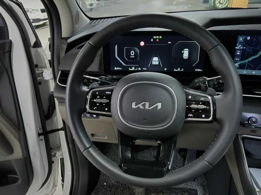 KIA Carnival - Vista 12