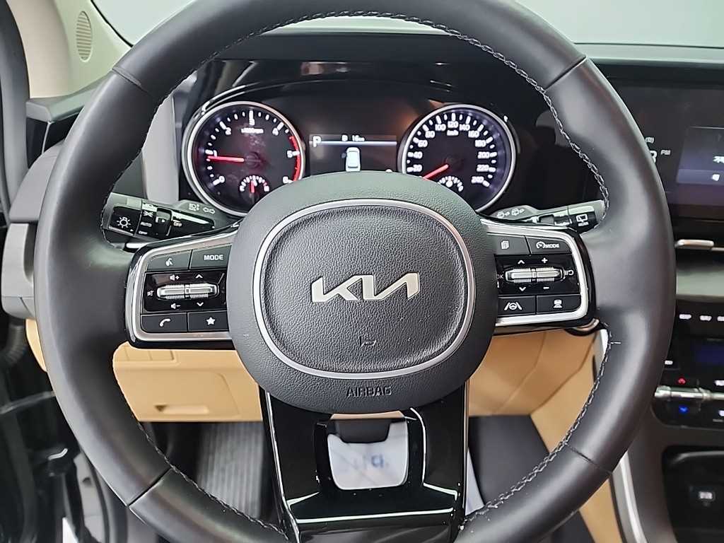 KIA Carnival - Vista 9
