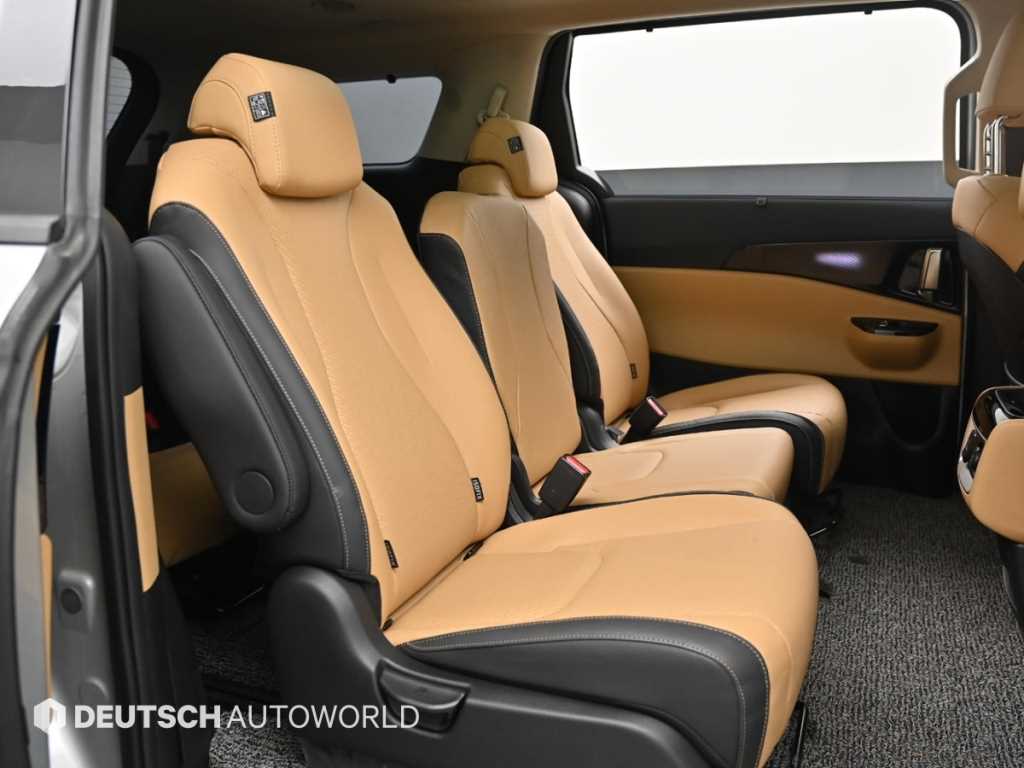 KIA Carnival - Vista 12