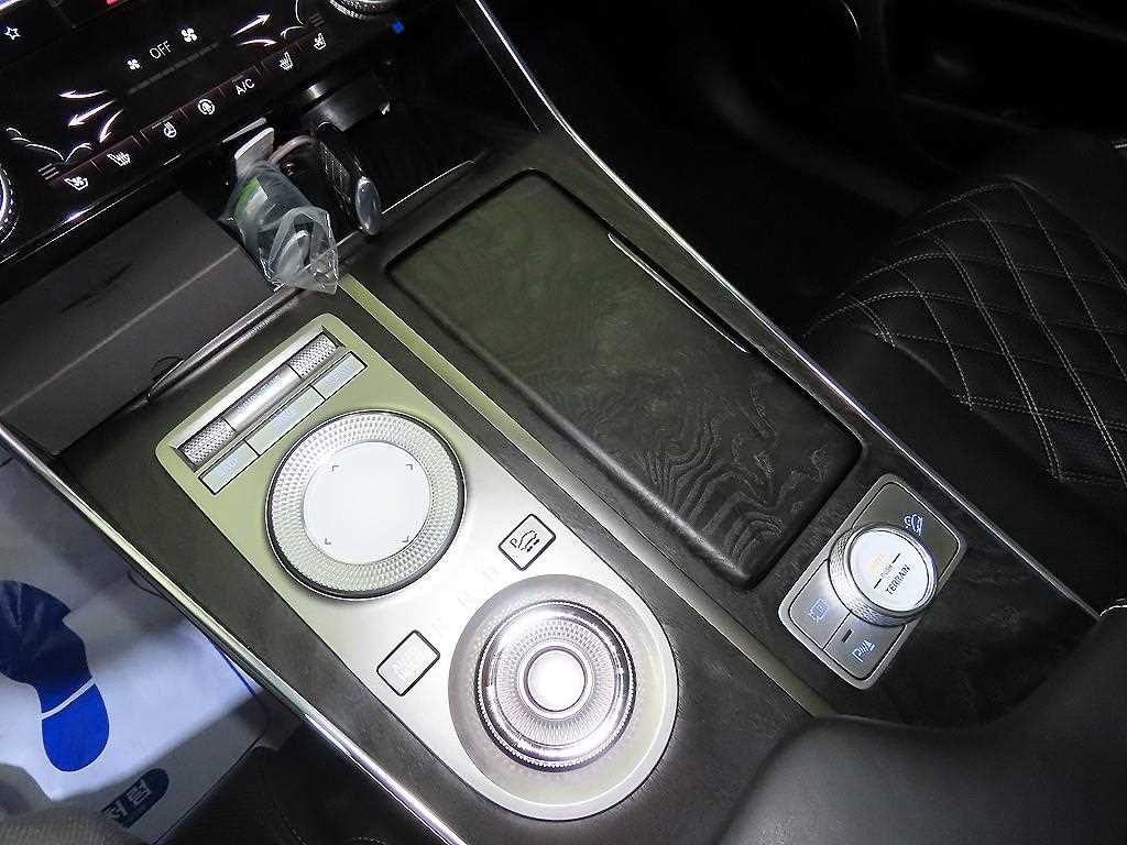 Genesis GV80 - Vista 12