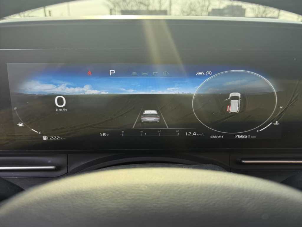 KIA Carnival - Vista 10