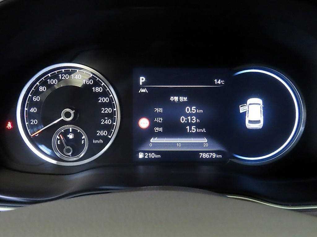 Genesis GV80 - Vista 10