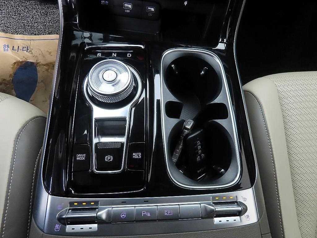 KIA Carnival - Vista 10