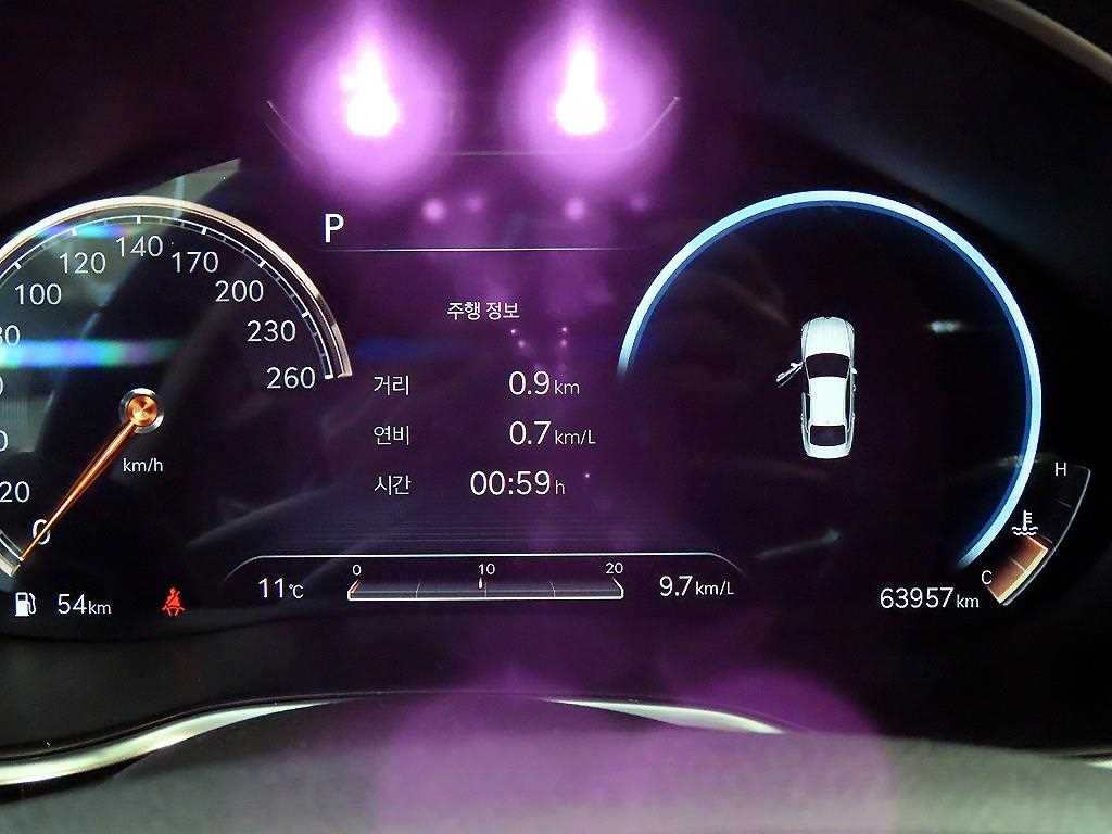 Genesis G80 - Vista 9