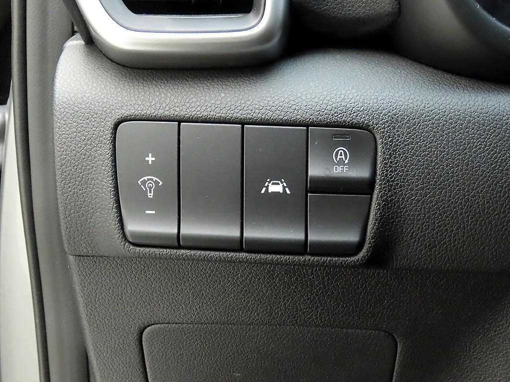 KIA Sportage - Vista 12