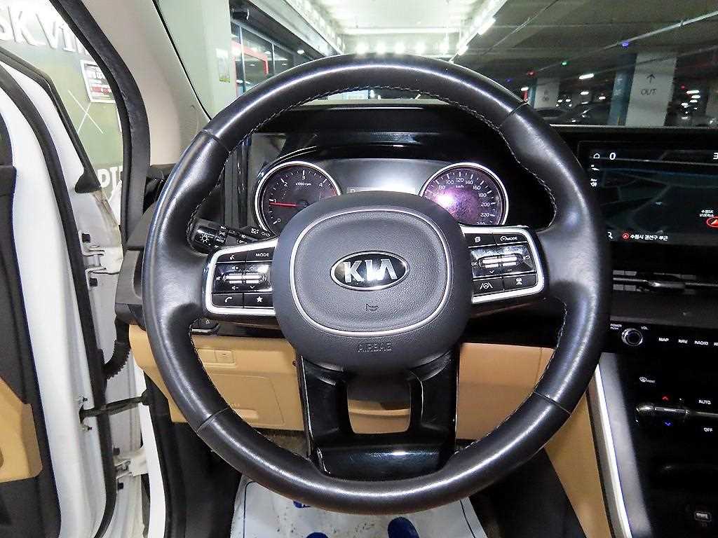 KIA Carnival - Vista 8