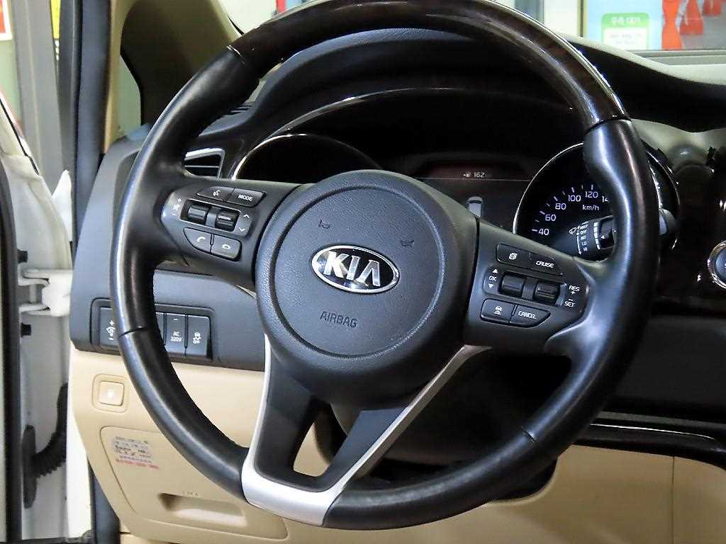 KIA Carnival - Vista 8