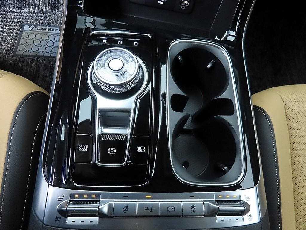 KIA Carnival - Vista 10