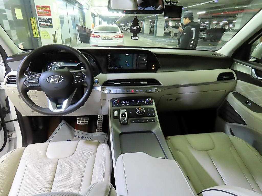 HYUNDAI Palisade - Vista 10