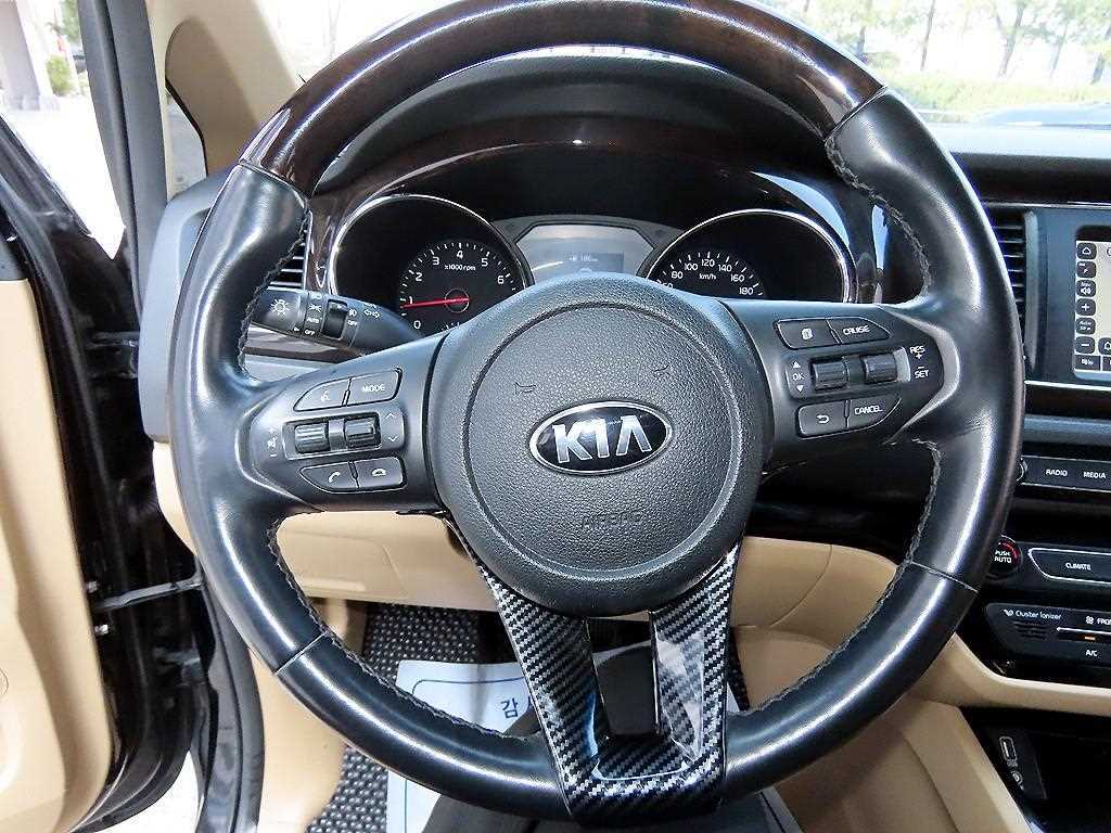 KIA Carnival - Vista 9