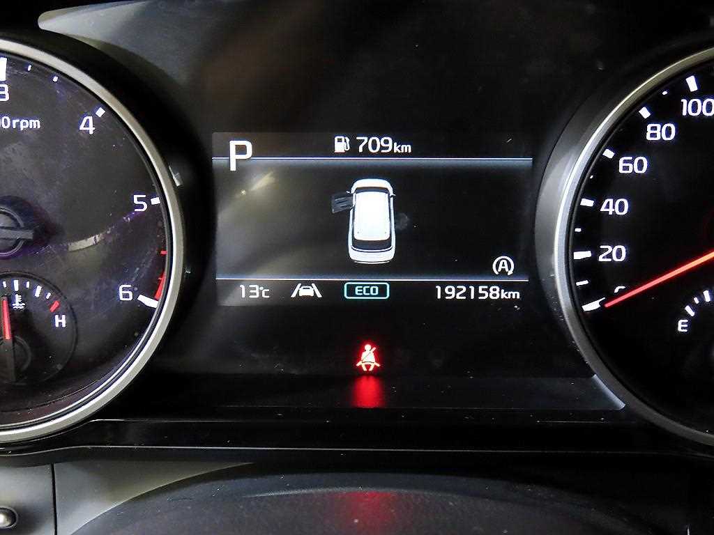 KIA Carnival - Vista 9