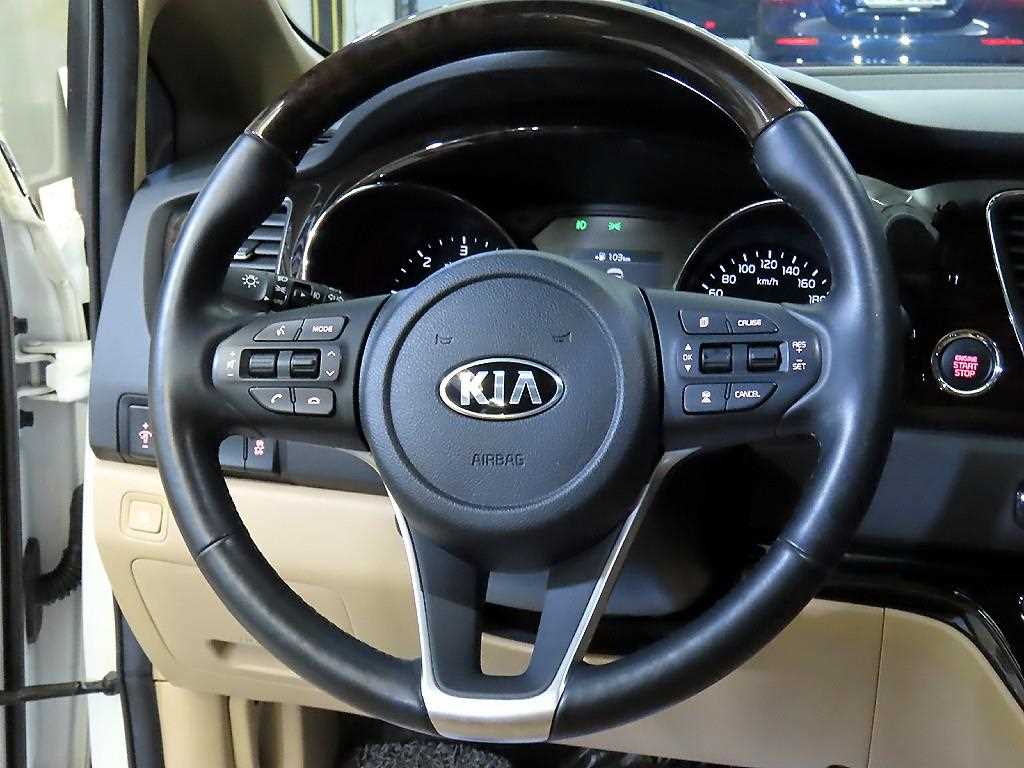 KIA Carnival - Vista 8