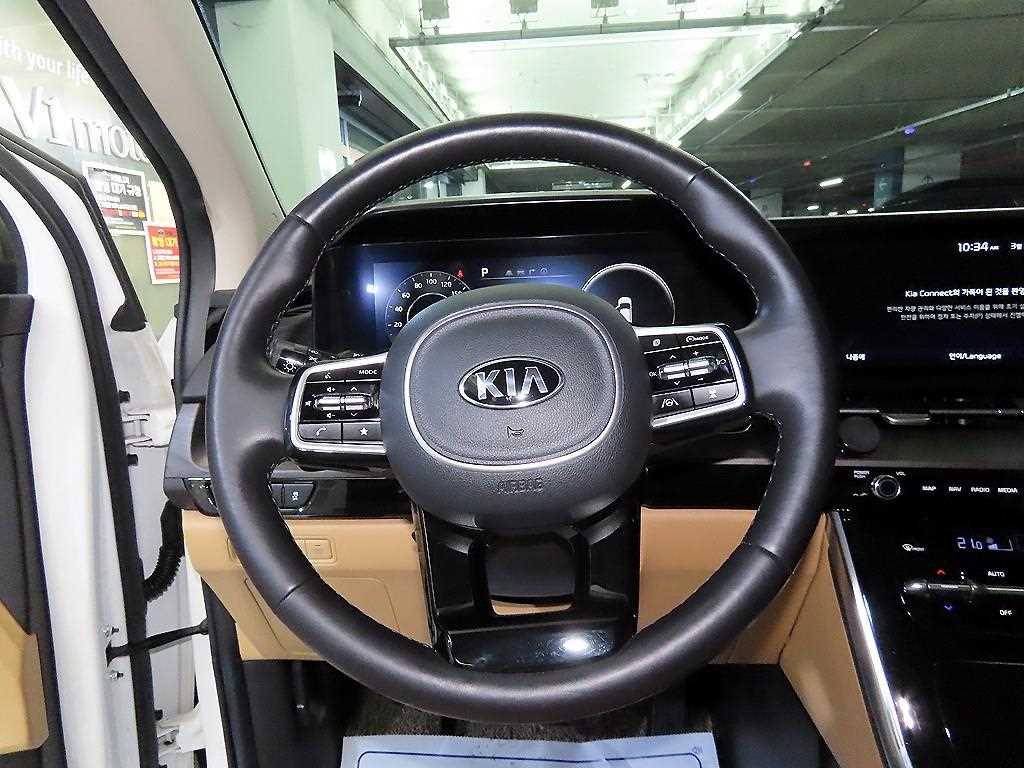 KIA Carnival - Vista 8