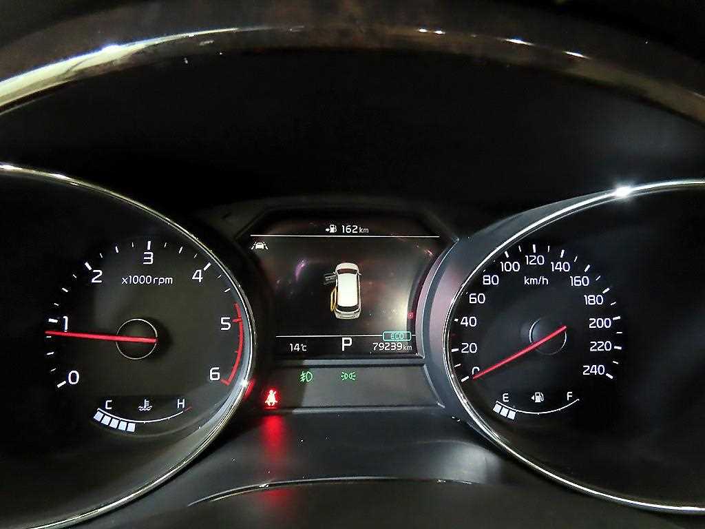 KIA Carnival - Vista 9