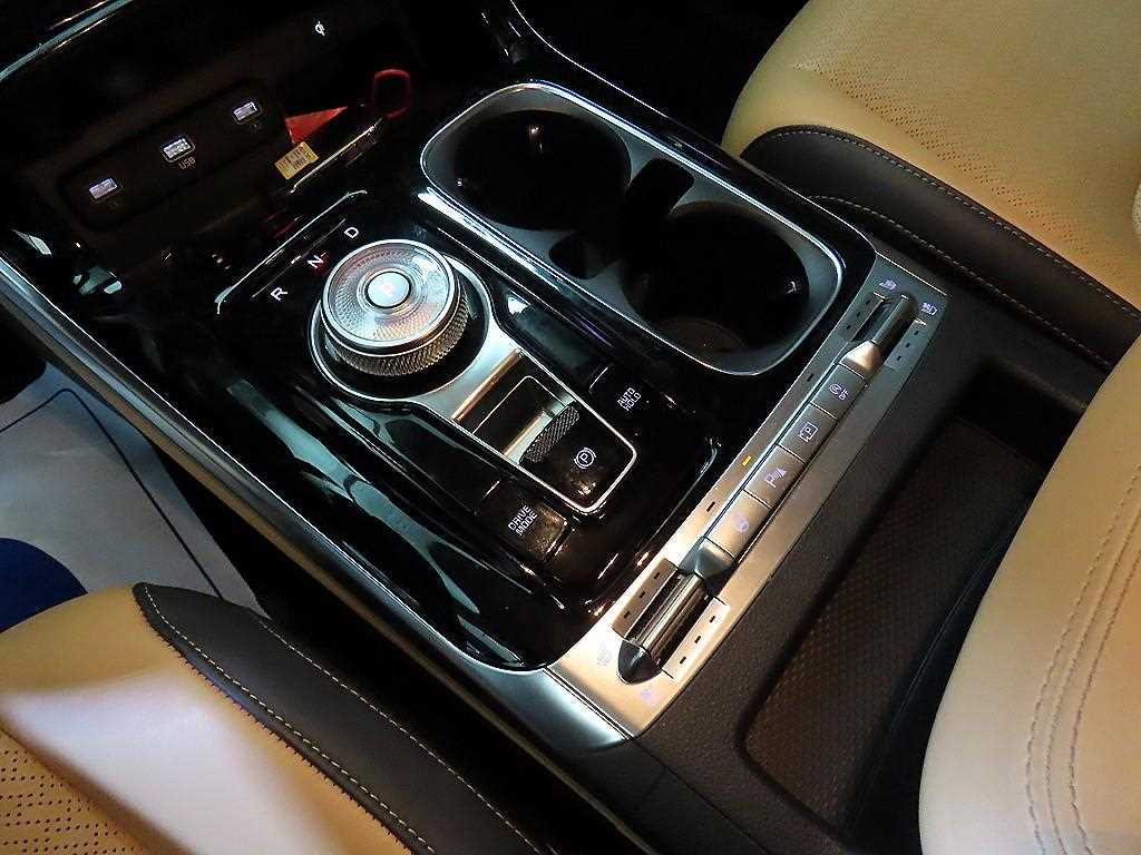 KIA Carnival - Vista 12