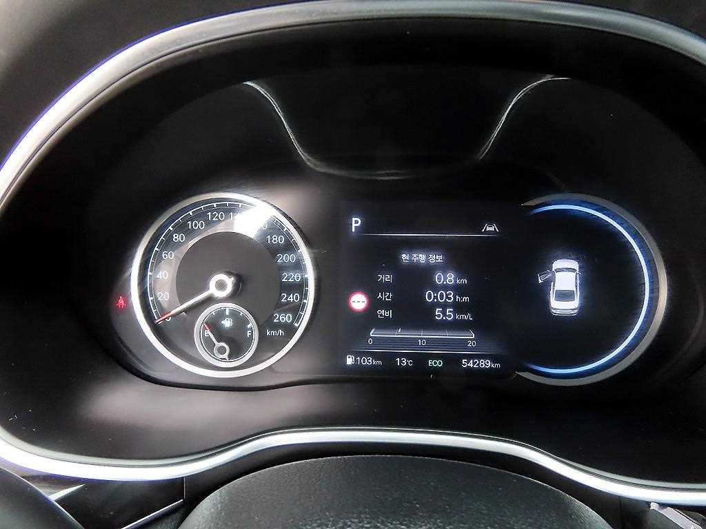 Genesis G80 - Vista 9