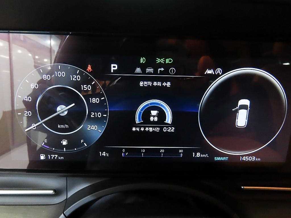 KIA Carnival - Vista 9