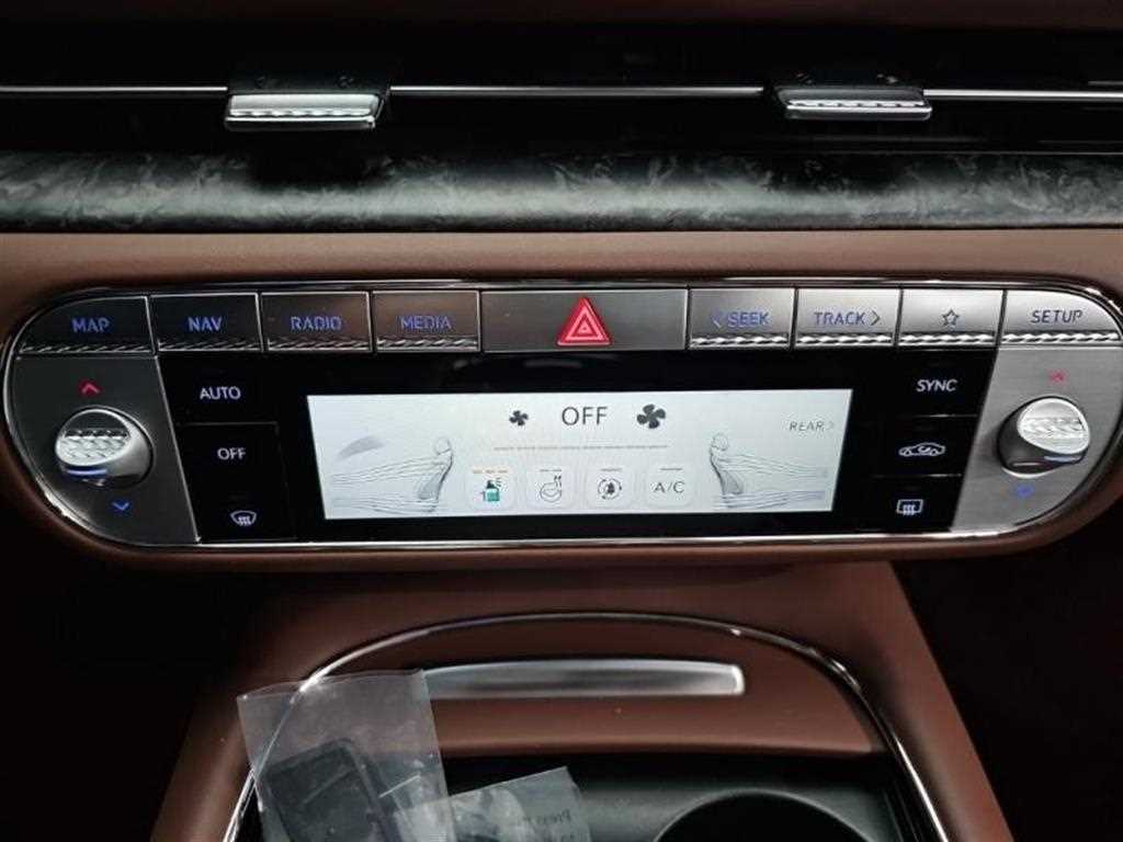 Genesis G90 - Vista 8