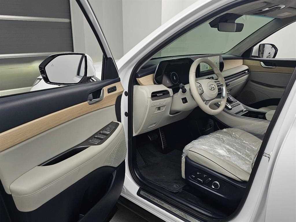 HYUNDAI Palisade - Vista 12