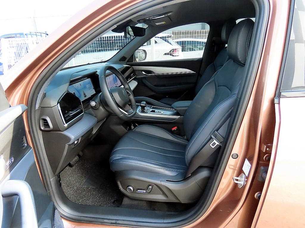 SAMSUNG Grand Koleos - Vista 5