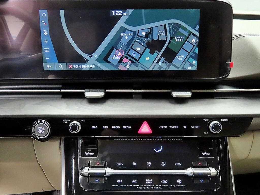 KIA Carnival - Vista 12