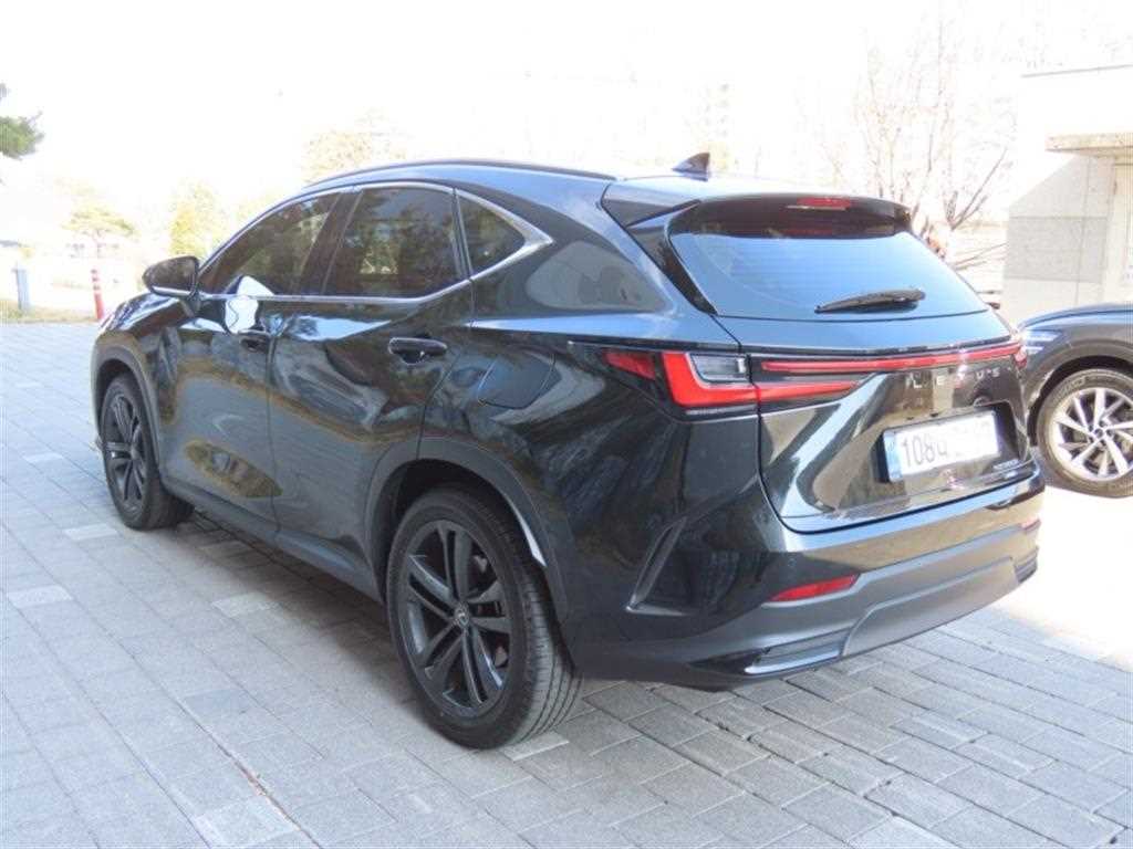 Lexus NX - Vista 4