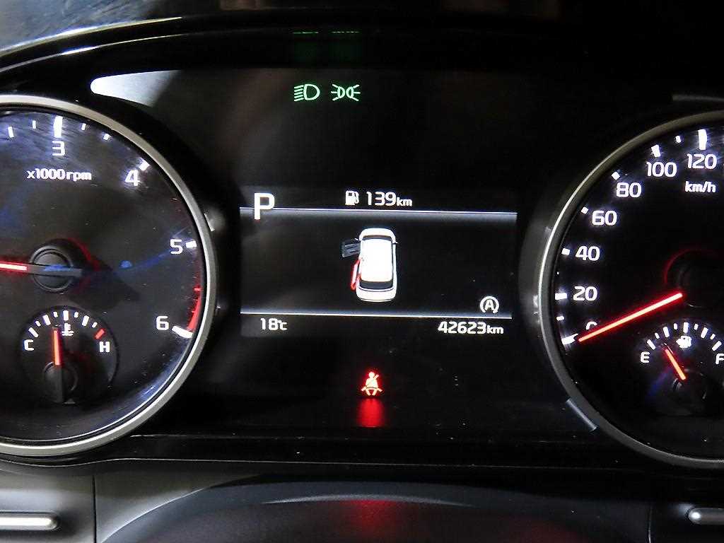 KIA Carnival - Vista 9