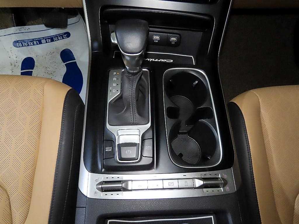 KIA Carnival - Vista 12