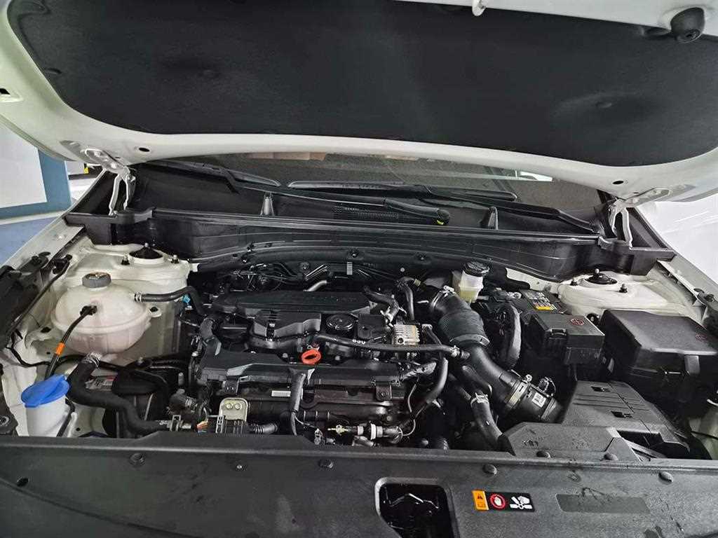 KIA Sportage 2023 Blanco - Importación desde Corea - HF Imports Iquique - Foto 19