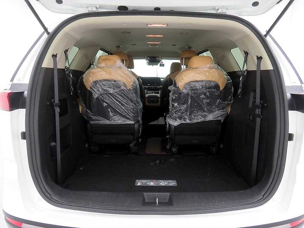 KIA Carnival - Vista 5