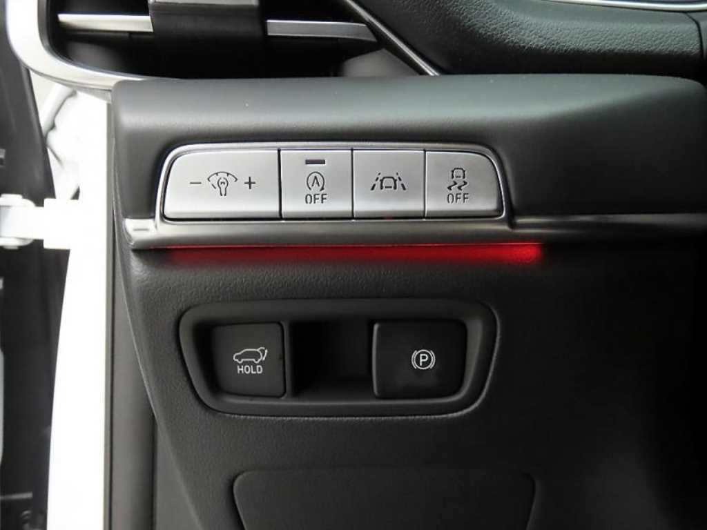 Genesis GV80 - Vista 12