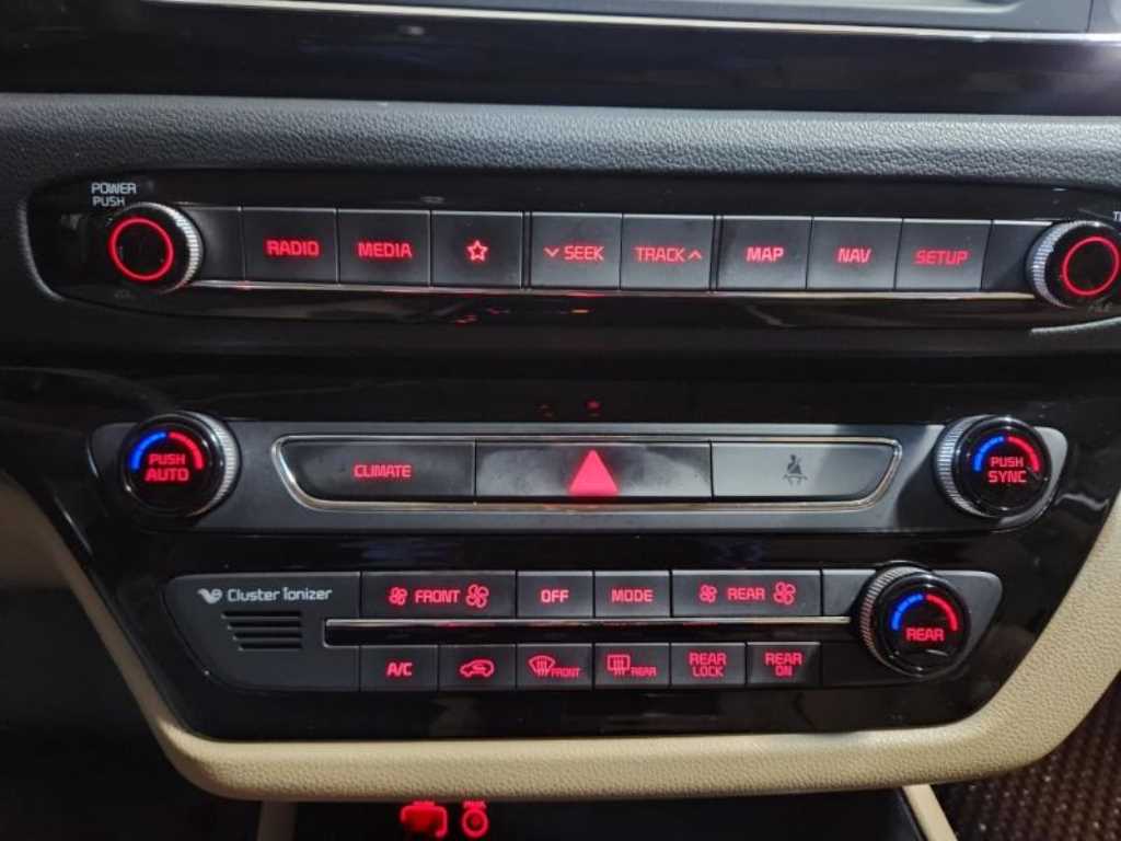 KIA Carnival - Vista 12