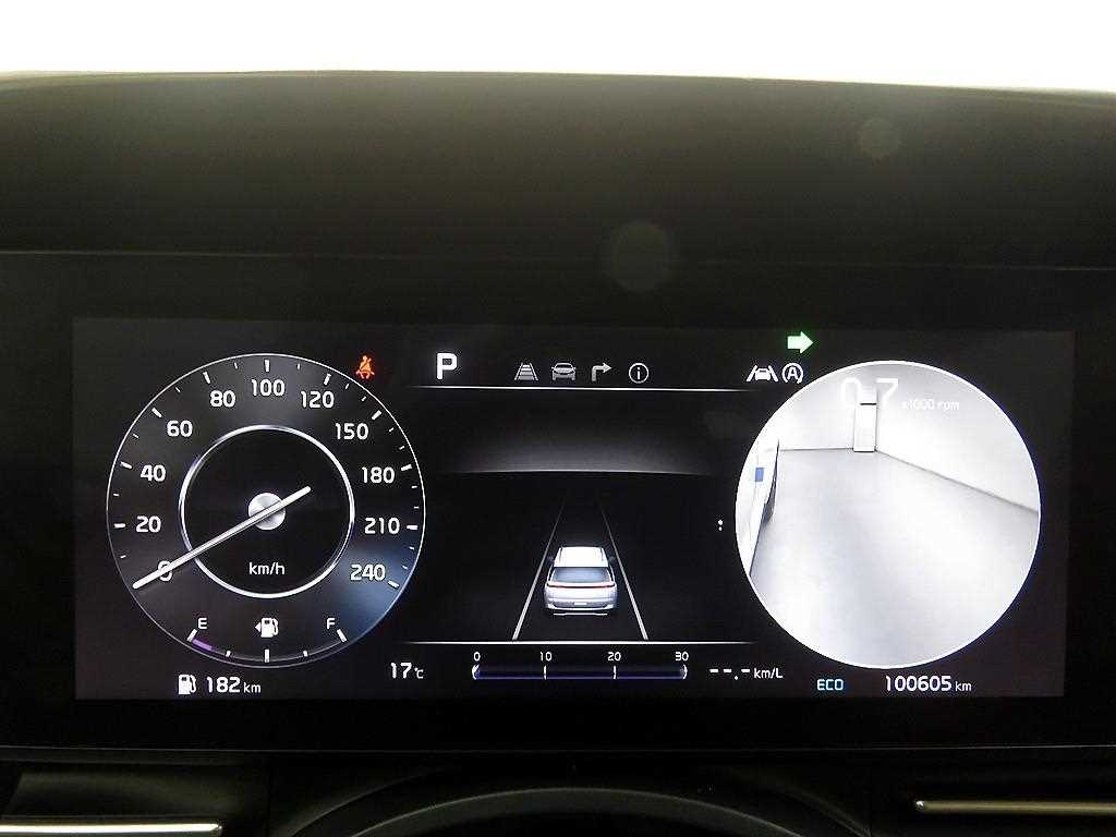 KIA Carnival - Vista 11