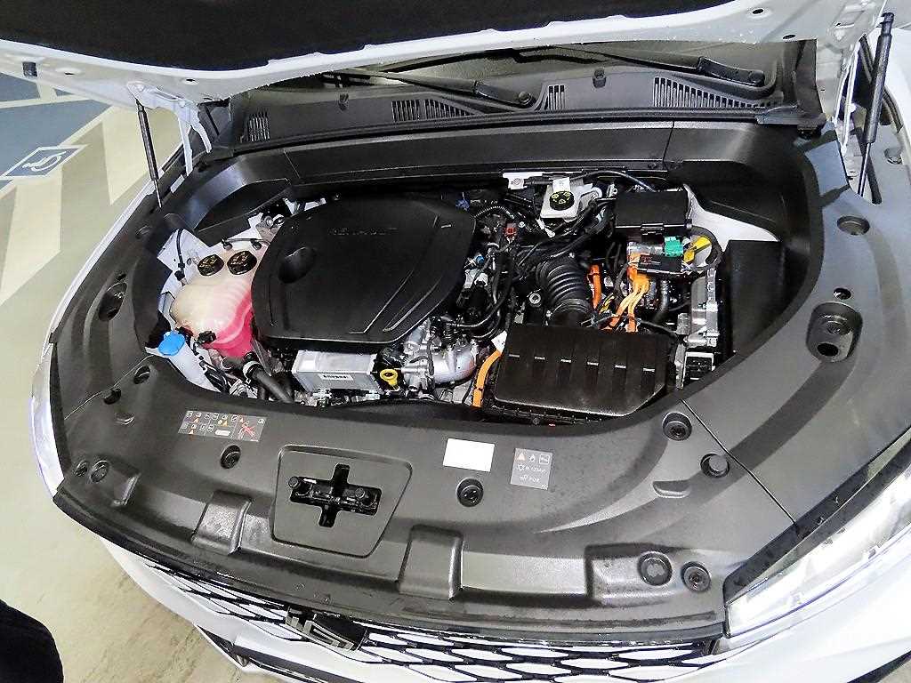 SAMSUNG Grand Koleos 2025 Blanco - Importación desde Corea - HF Imports Iquique - Foto 19