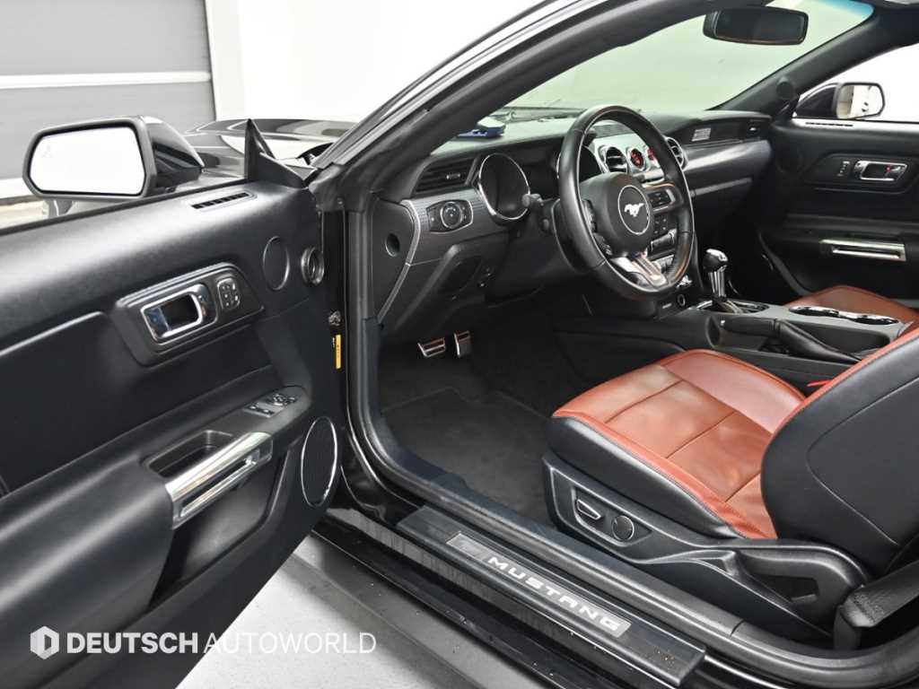 Ford Mustang - Vista 11