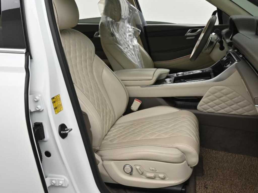 Genesis GV80 - Vista 10