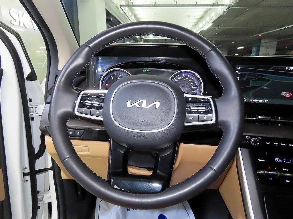 KIA Carnival - Vista 8