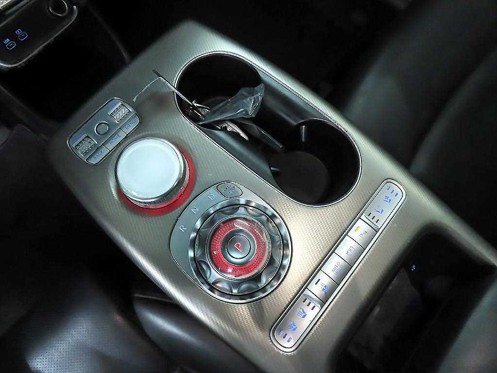 Genesis GV60 - Vista 10