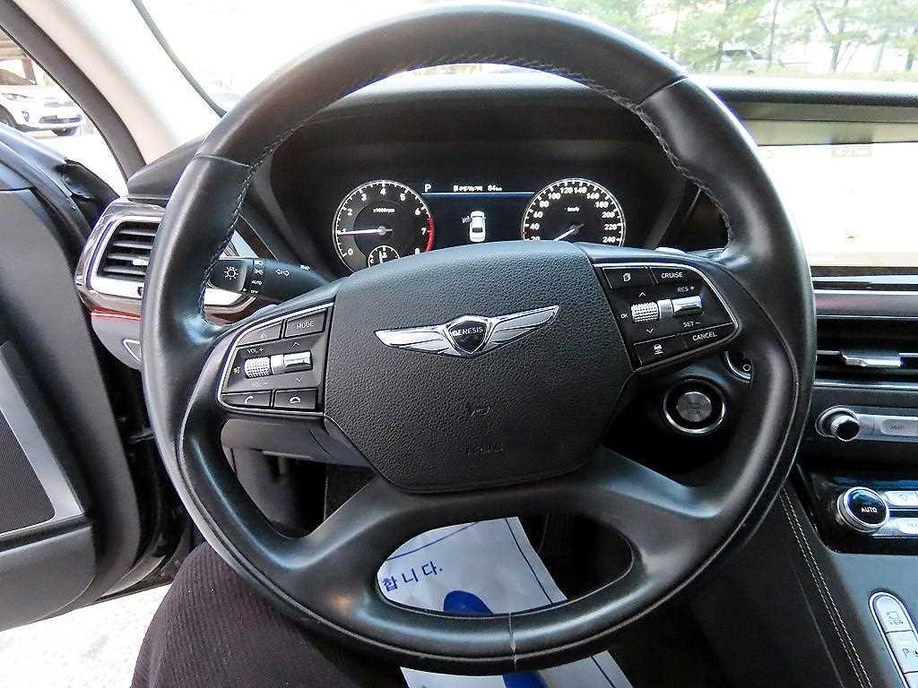 Genesis G90 - Vista 8