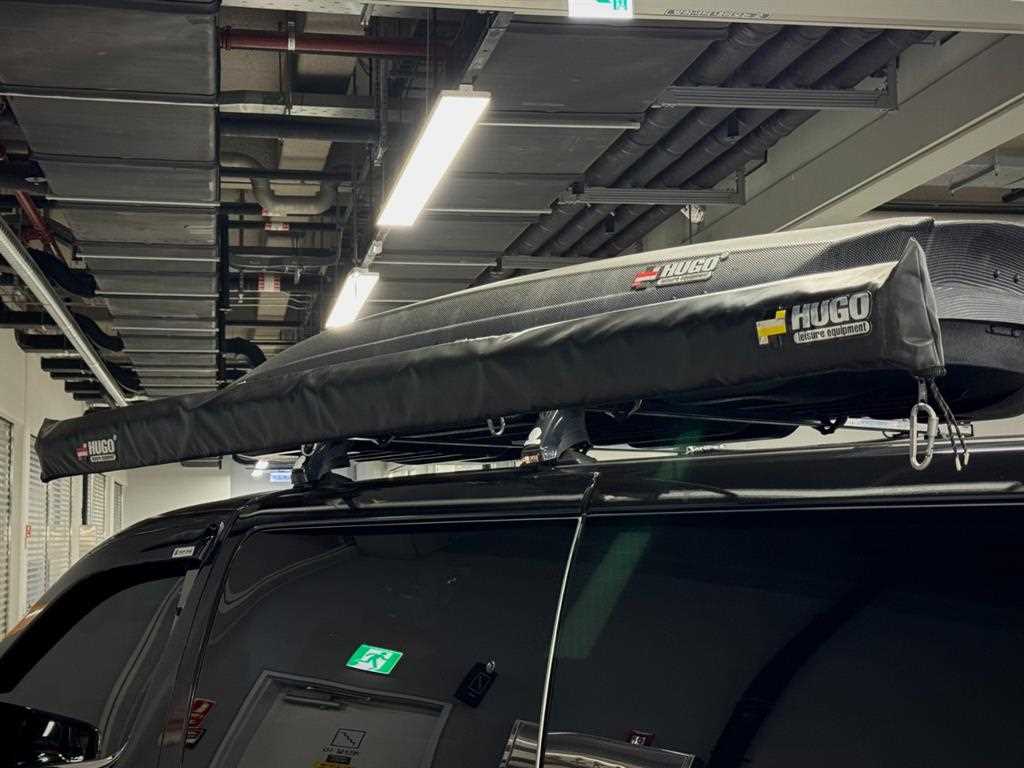 Nissan Elgrand - Vista 10