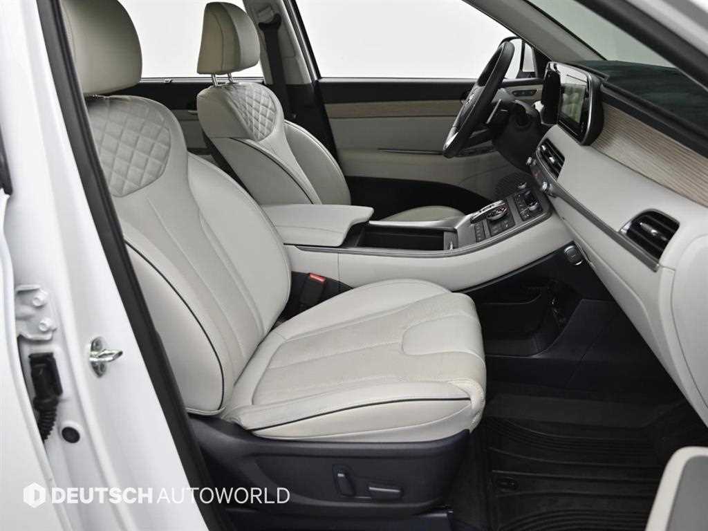 HYUNDAI Palisade - Vista 10