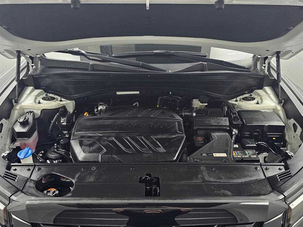 HYUNDAI Palisade - Vista 5