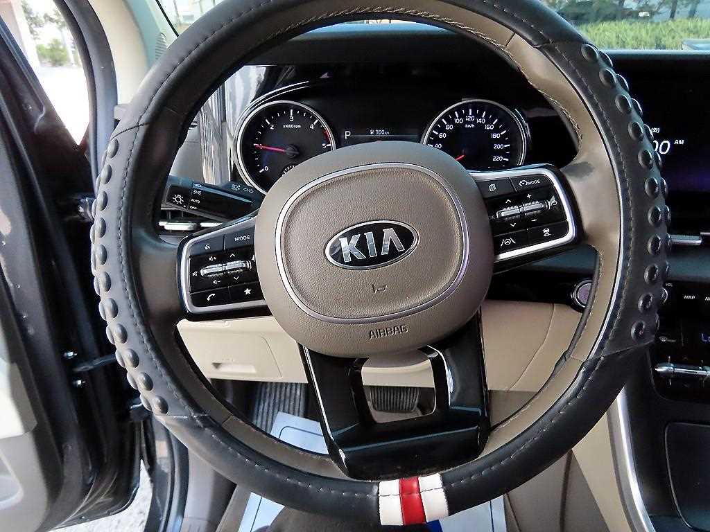 KIA Carnival - Vista 9