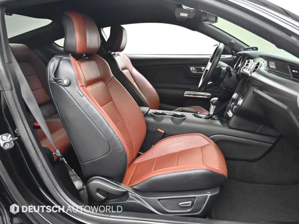 Ford Mustang - Vista 10