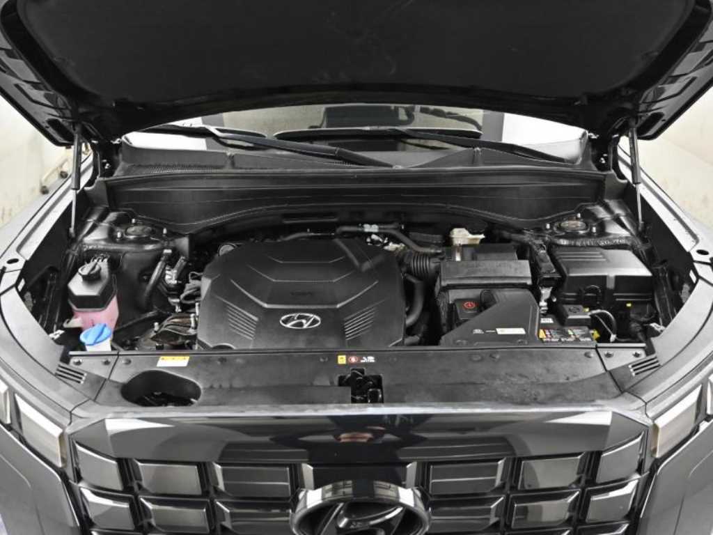 HYUNDAI Palisade - Vista 6