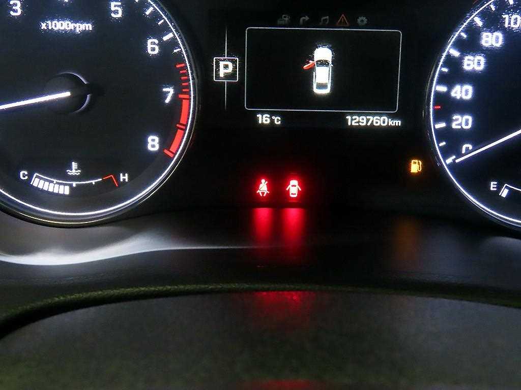 HYUNDAI Genesis - Vista 9