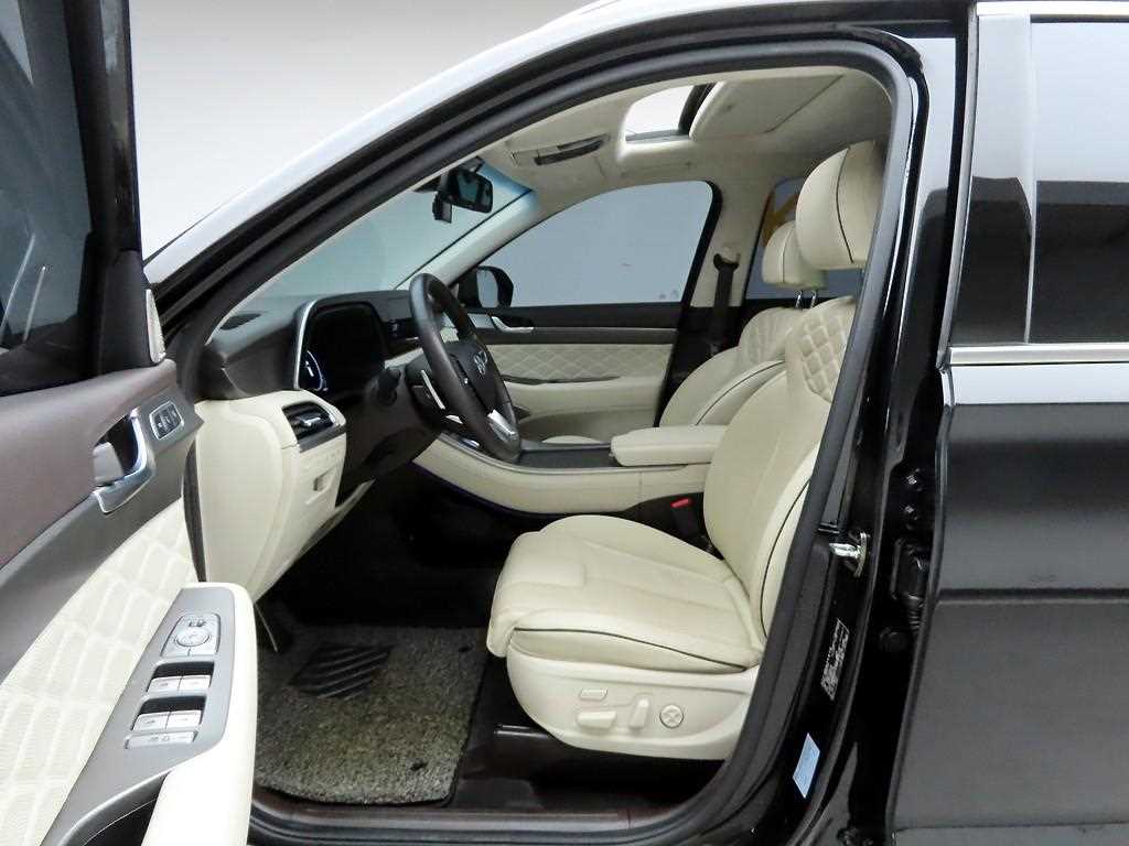 HYUNDAI Palisade - Vista 12